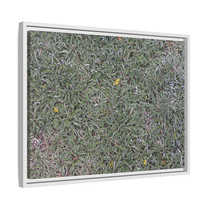 Grassy Texture - Unique Stretched Canvas Wall Art