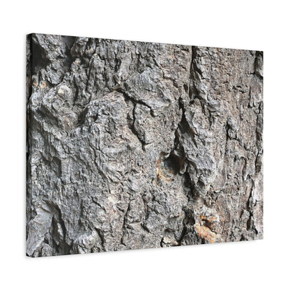 Elemental Canvas - Unique Frameless Canvas Wall Art