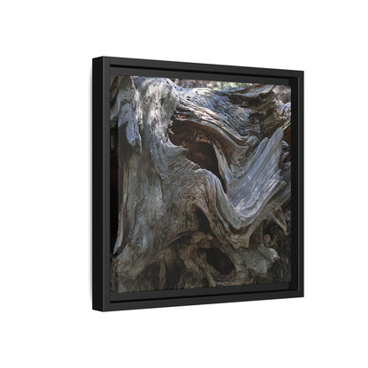 Twisted Memories - Unique Stretched Canvas Wall Art