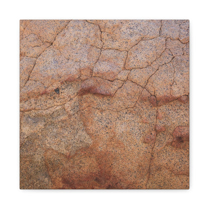 Cracked Earth's Whisper - Unique Frameless Canvas Wall Art