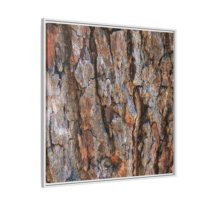 Craggy Textures - Unique Stretched Canvas Wall Art