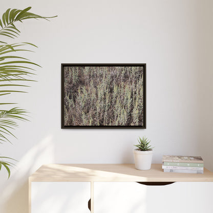 Sage Fields Forever - Unique Stretched Canvas Wall Art - Art By Earth