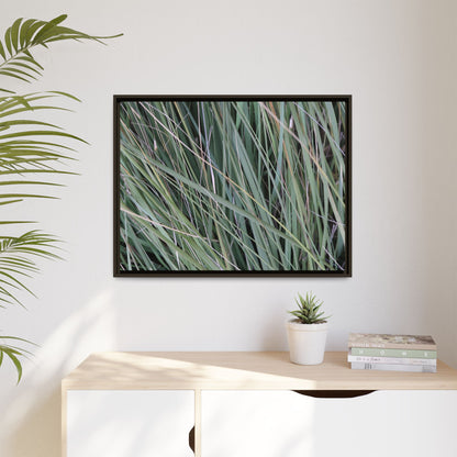 Grassland Symphony - Unique Stretched Canvas Wall Art