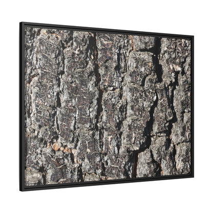 Bark Study in Gray - Unique Stretched Canvas Wall Art