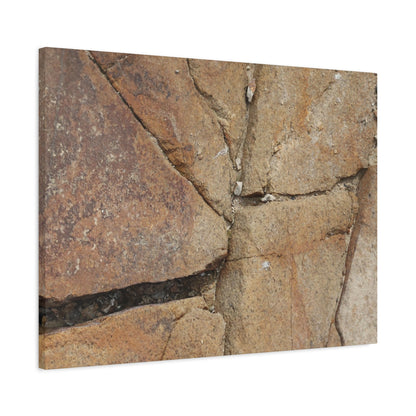 Cracked Earth's Canvas - Unique Frameless Canvas Wall Art