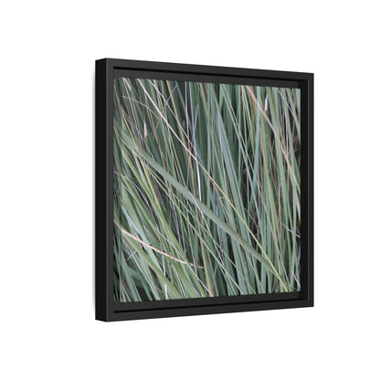 Grassland Symphony - Unique Stretched Canvas Wall Art