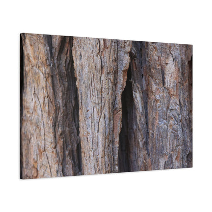 Fractal Skin - Unique Frameless Canvas Wall Art
