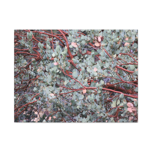 Whispers of Silver and Rust - Unique Frameless Canvas Wall Art