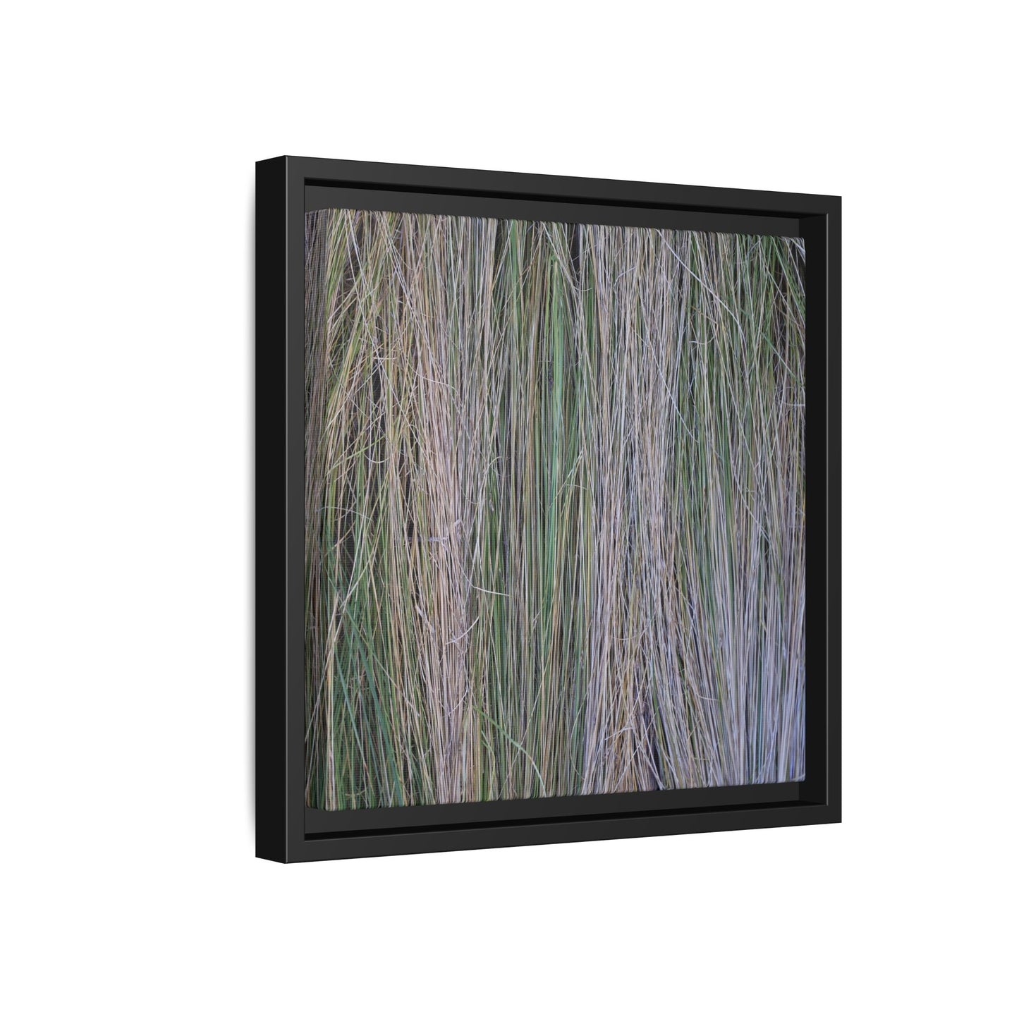 Whispers of Silver Grass - Unique Stretched Canvas Wall Art