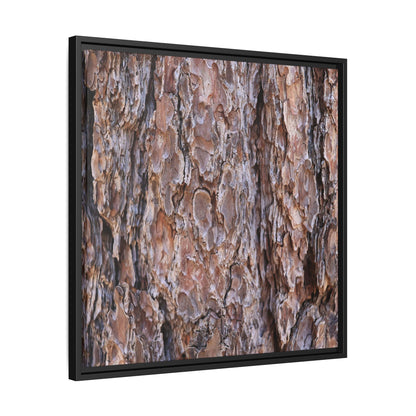 Woody Layers - Unique Stretched Canvas Wall Art