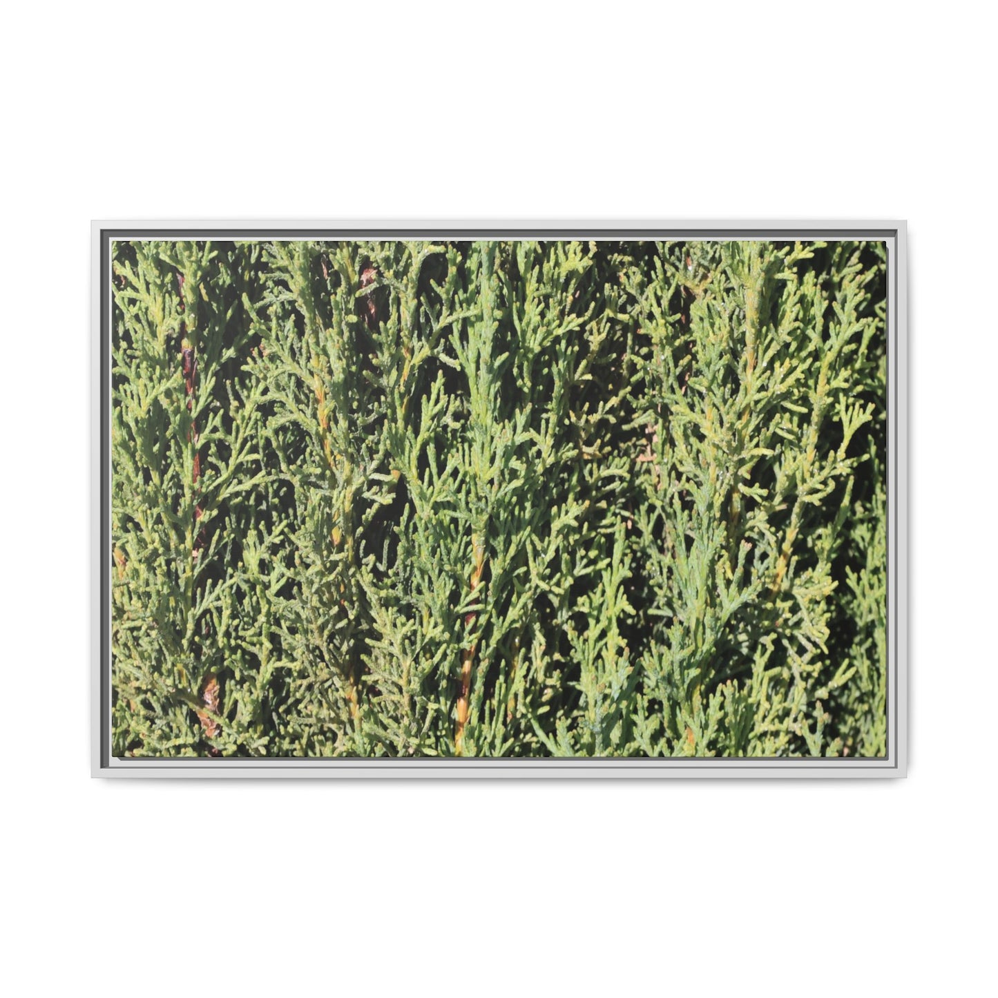 Emerald Labyrinth - Unique Stretched Canvas Wall Art - Art By Earth