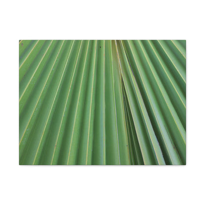 Fan of Green - Unique Frameless Canvas Wall Art