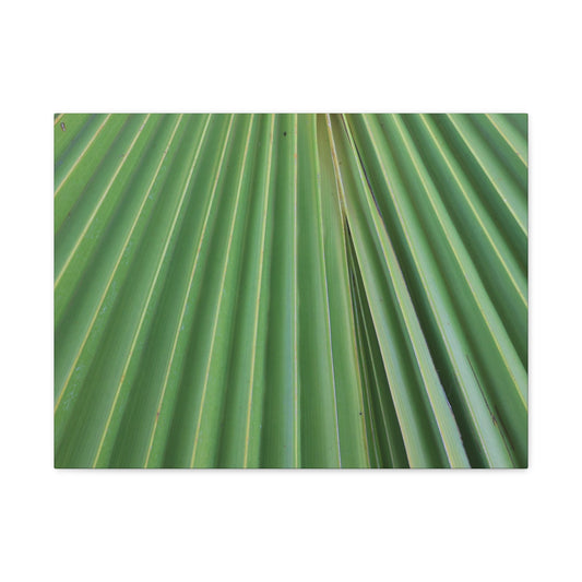 Fan of Green - Unique Frameless Canvas Wall Art