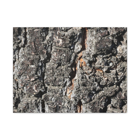 Arboreal Skin - Unique Frameless Canvas Wall Art