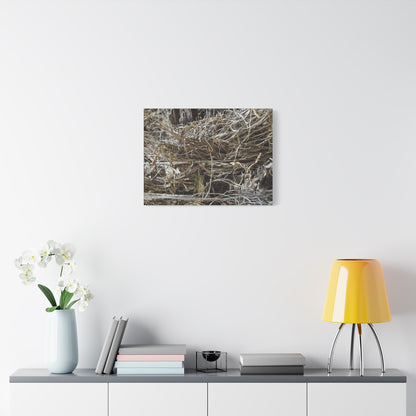 Whispers in Dry Grass - Unique Frameless Canvas Wall Art