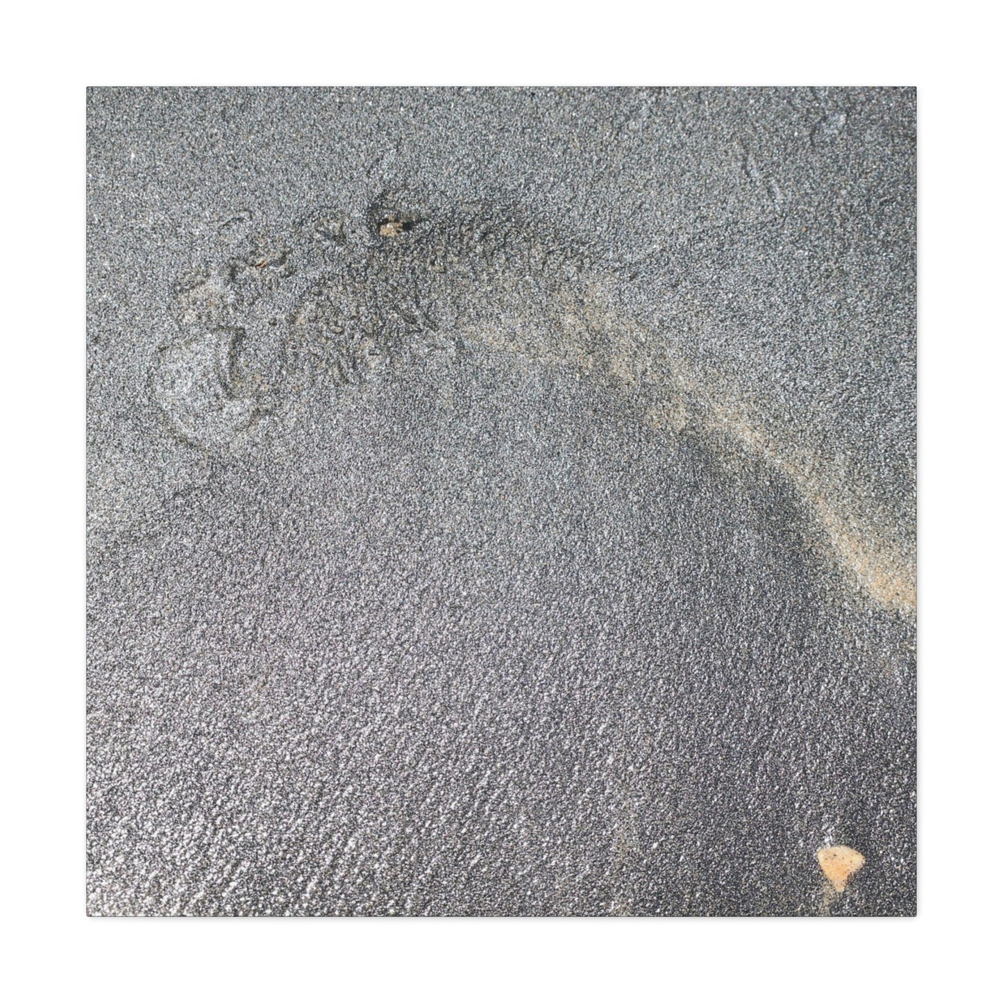 Ephemeral Whispers of Granite - Unique Frameless Canvas Wall Art