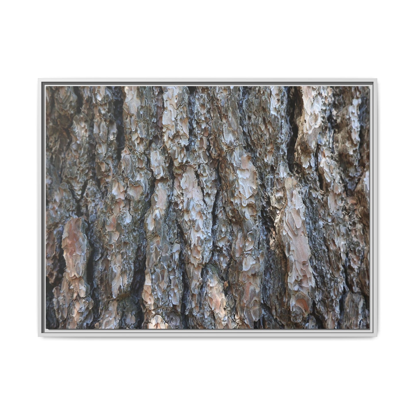 Bark Whispers - Unique Stretched Canvas Wall Art