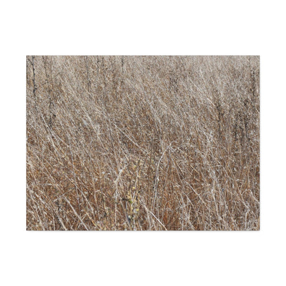 Whispers of Autumn - Unique Frameless Canvas Wall Art - Art By Earth