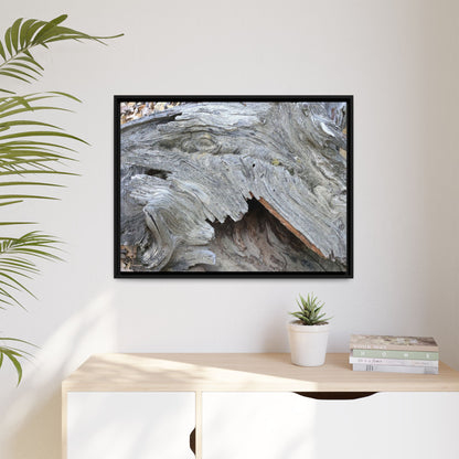 Driftwood Dreams - Unique Stretched Canvas Wall Art