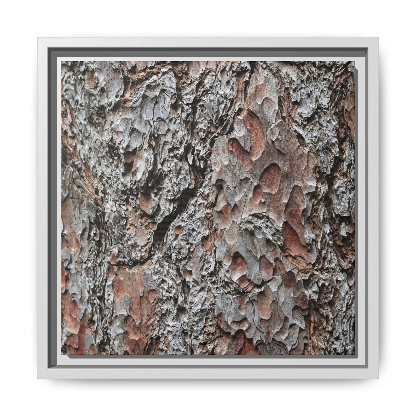 Bark Texture Symphony - Unique Stretched Canvas Wall Art