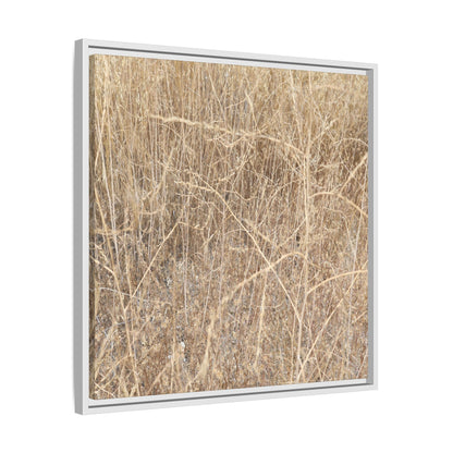 Golden Stalks - Unique Stretched Canvas Wall Art