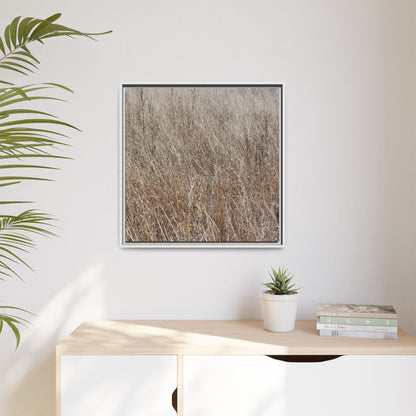 Dry Grass Symphony - Unique Stretched Canvas Wall Art - Art By Earth