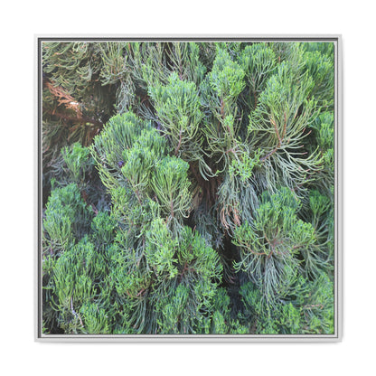 Verdant Whispers - Unique Stretched Canvas Wall Art