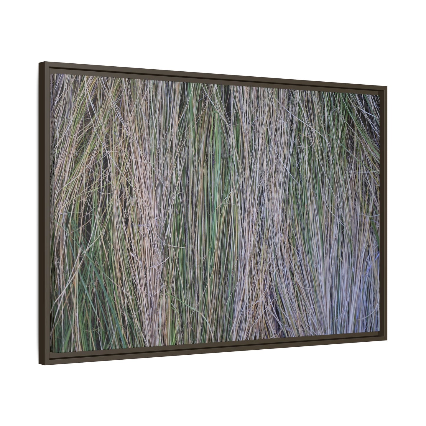 Whispers of Silver Grass - Unique Stretched Canvas Wall Art