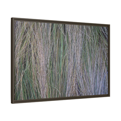 Whispers of Silver Grass - Unique Stretched Canvas Wall Art