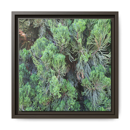 Verdant Whispers - Unique Stretched Canvas Wall Art