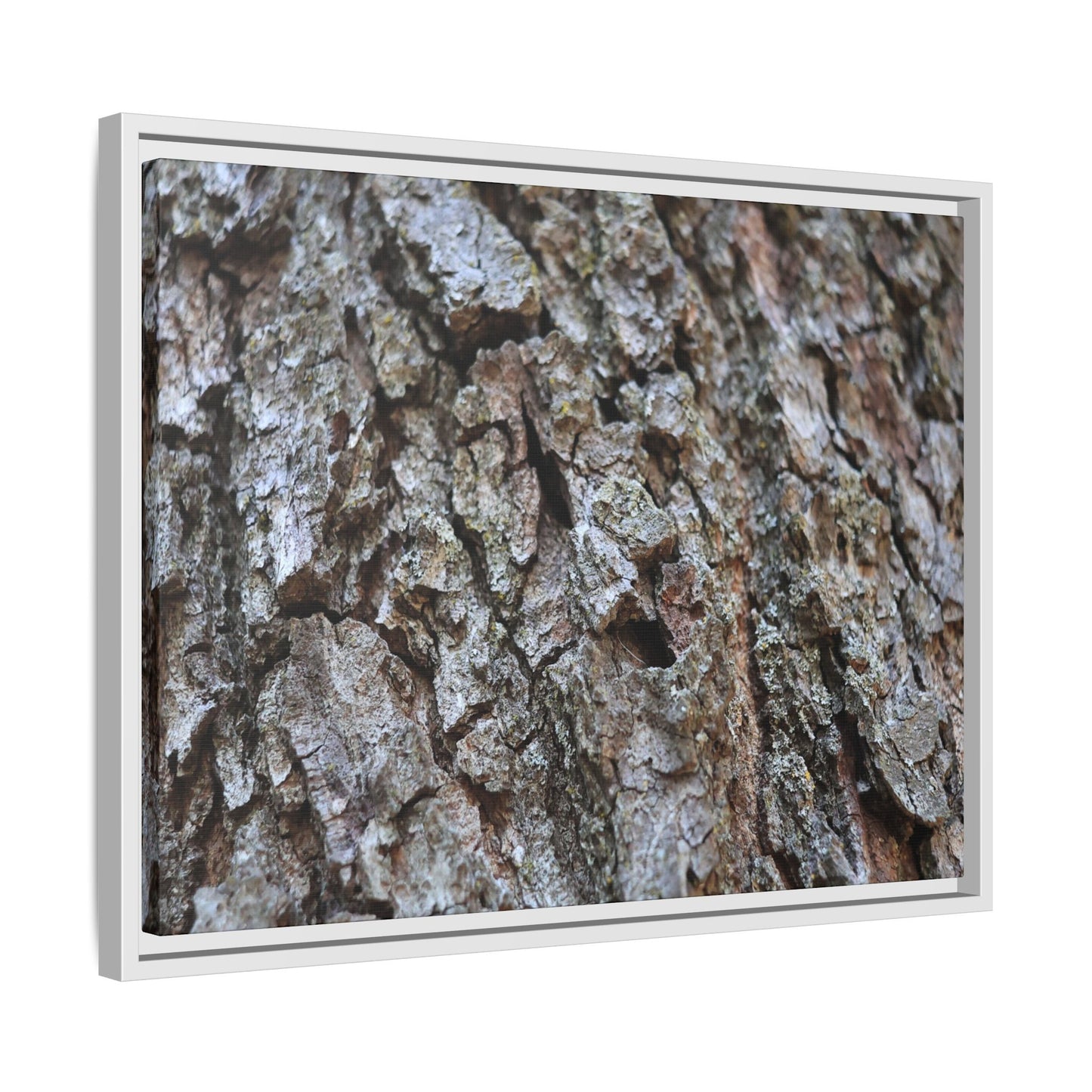 Woodland Canvas - Unique Stretched Canvas Wall Art