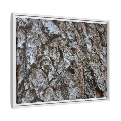 Woodland Canvas - Unique Stretched Canvas Wall Art