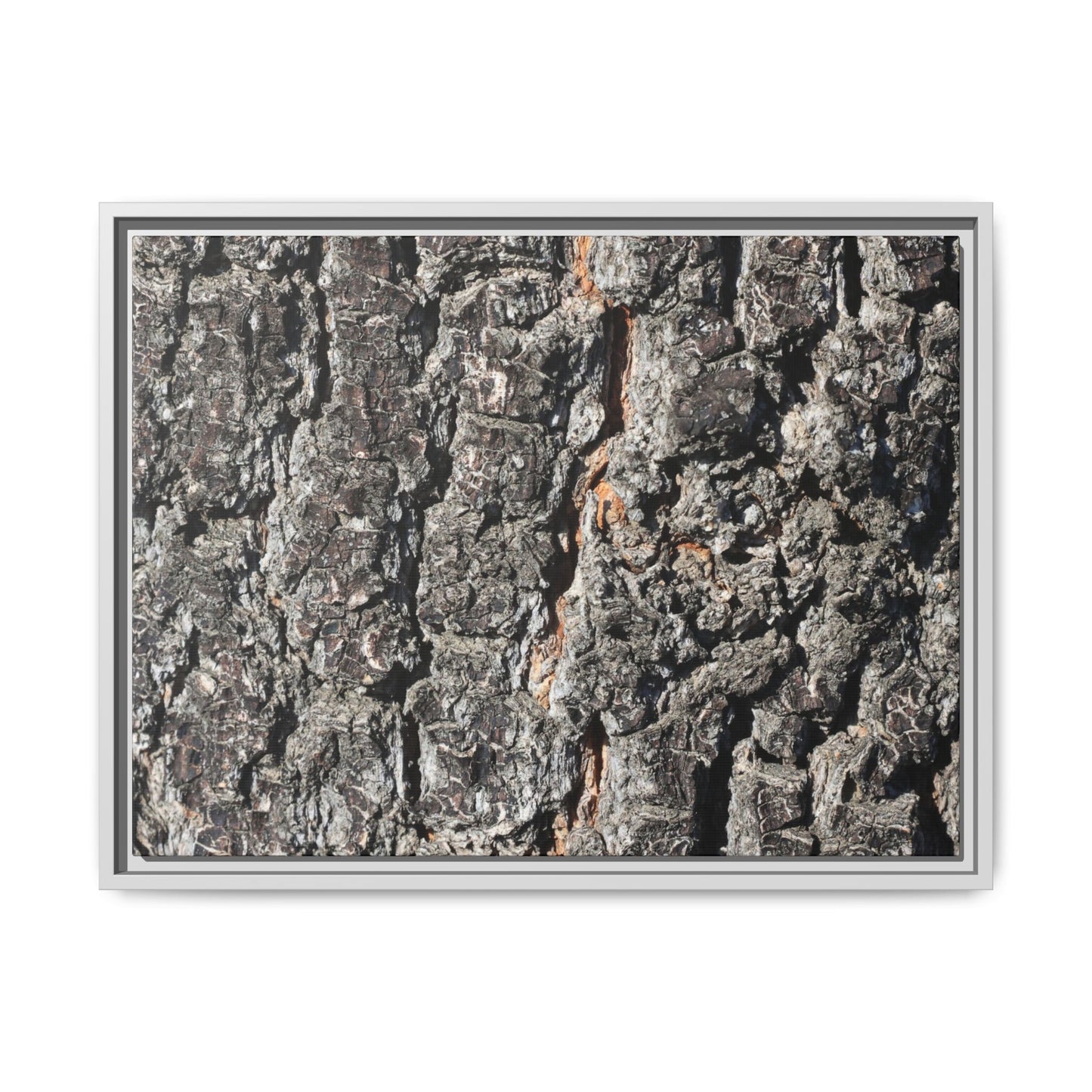 Aged Beauty - Unique Stretched Canvas Wall Art