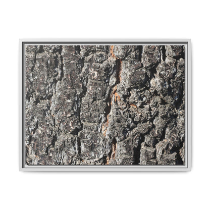Aged Beauty - Unique Stretched Canvas Wall Art