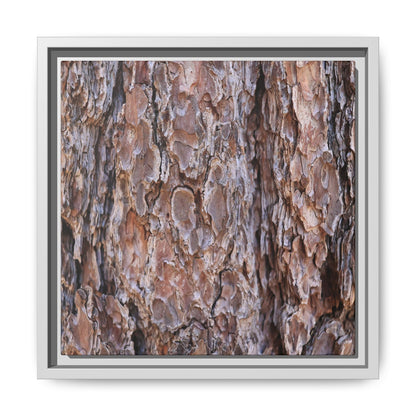 Woody Layers - Unique Stretched Canvas Wall Art