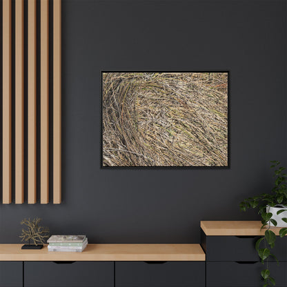 Tangled Grass Symphony - Unique Stretched Canvas Wall Art - Art By Earth