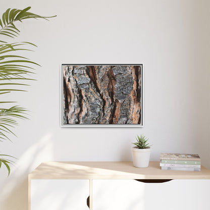 Fractured Nature - Unique Stretched Canvas Wall Art