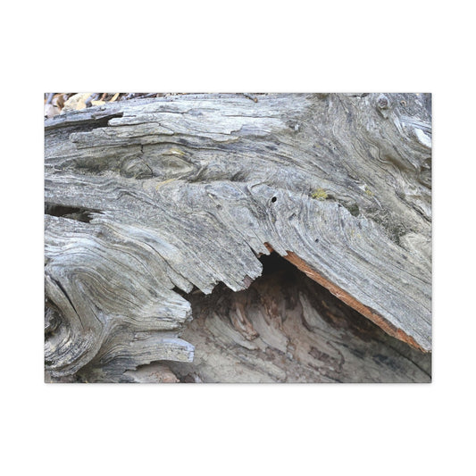 Whispers of Ancient Wood - Unique Frameless Canvas Wall Art