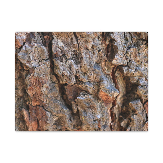 Nature's Skin - Unique Frameless Canvas Wall Art