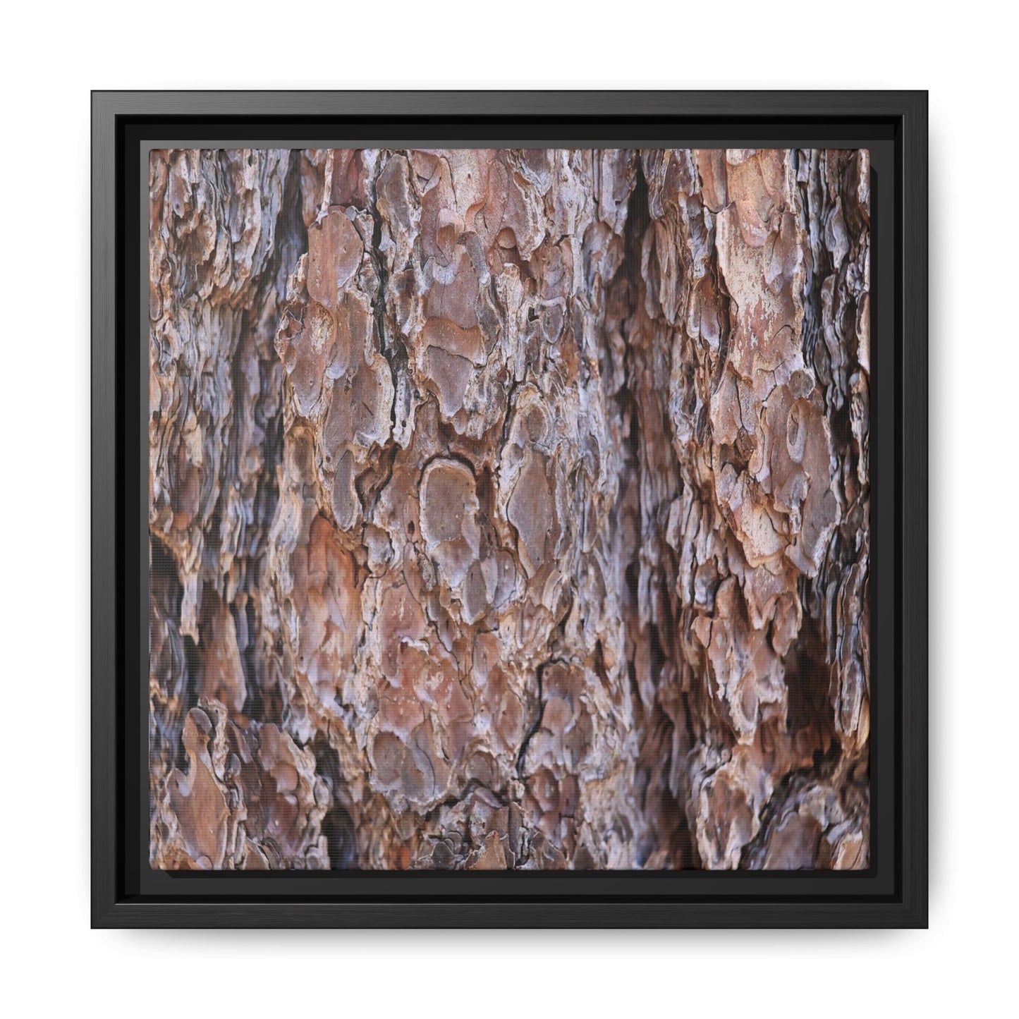Woody Layers - Unique Stretched Canvas Wall Art