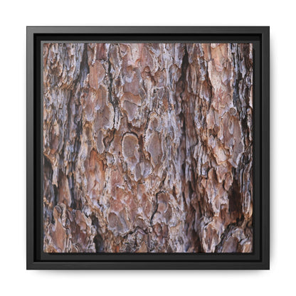 Woody Layers - Unique Stretched Canvas Wall Art