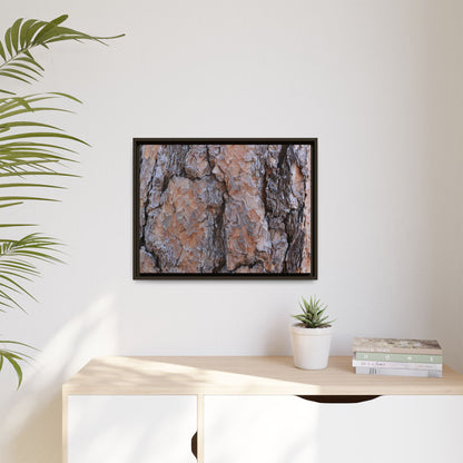 Tree Skin Symphony - Unique Stretched Canvas Wall Art