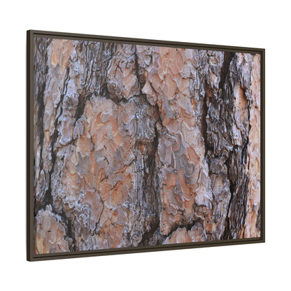 Tree Skin Symphony - Unique Stretched Canvas Wall Art