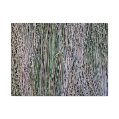 Whispers of Grass - Unique Frameless Canvas Wall Art