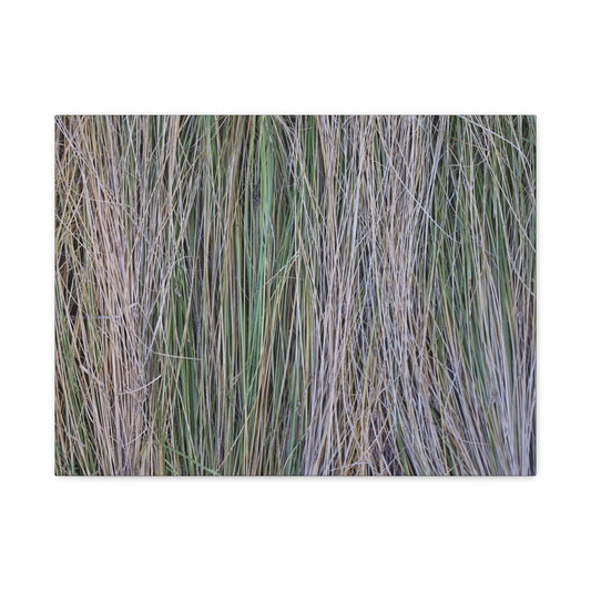 Whispers of Grass - Unique Frameless Canvas Wall Art