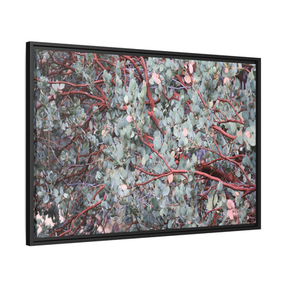 Whispers of Sage - Unique Stretched Canvas Wall Art