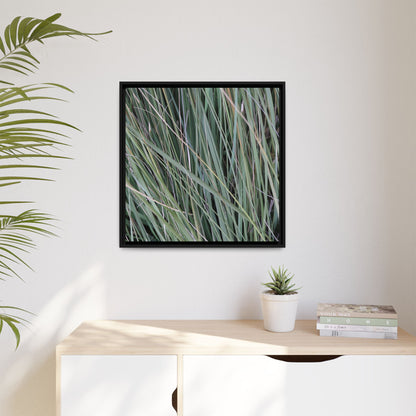 Grassland Symphony - Unique Stretched Canvas Wall Art