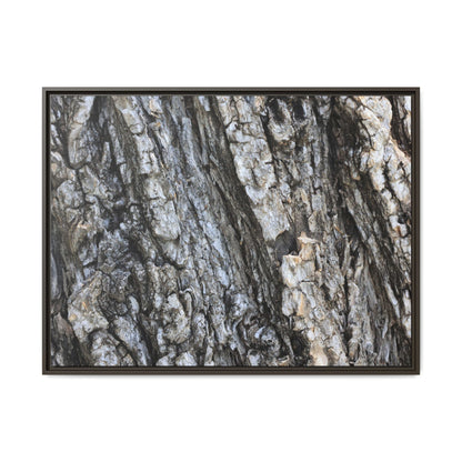 Twisted Textures - Unique Stretched Canvas Wall Art