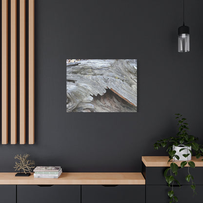 Whispers of Ancient Wood - Unique Frameless Canvas Wall Art