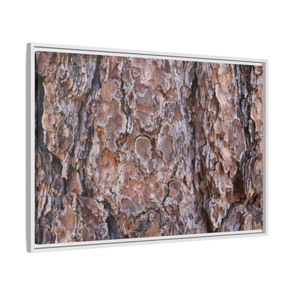 Woody Layers - Unique Stretched Canvas Wall Art